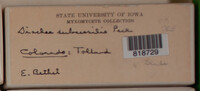 Image Associated With the Occurence